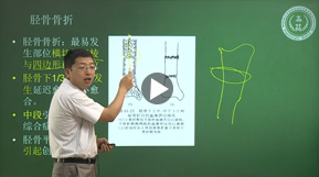 臨床執(zhí)業(yè)(助理)醫(yī)師課程試聽(tīng)